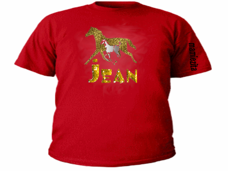 tshirt prenon crea